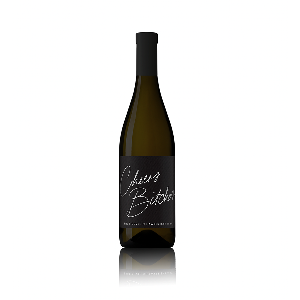 Cheers Bitches - Wine